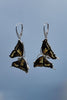 Baltic Amber and Sterling Silver Butterfly Earrings.