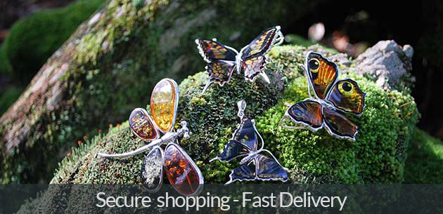 Secure Shopping with Fast Delivery